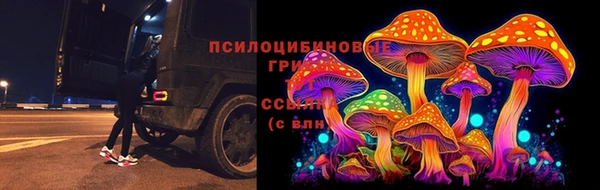 а пвп мука Бугульма