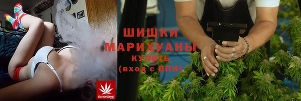 тгк Бронницы