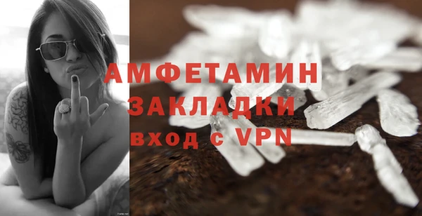 молекула духа Богданович