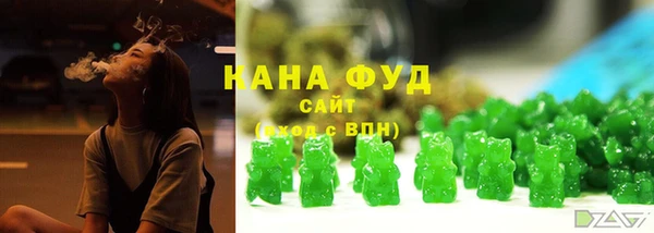 молекула духа Богданович