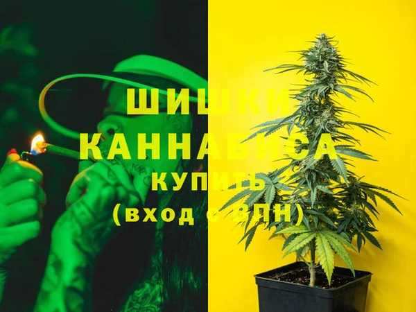 мдпв Богородицк