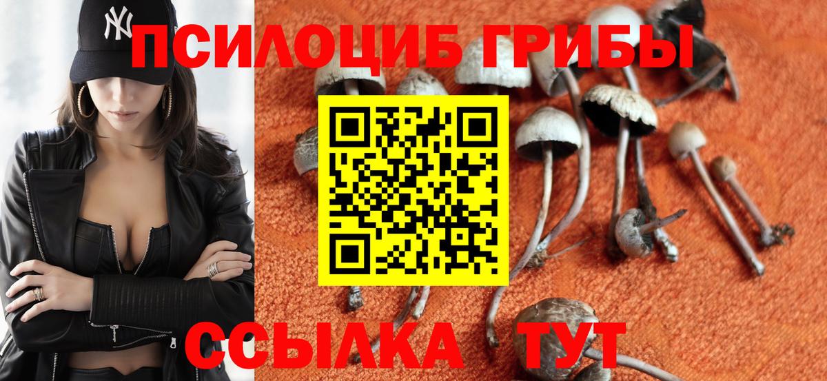 Воскресенск  Галлюциногенные грибы мицелий  Вход с VPN  Псилоцибиновые грибы Psilocybe 